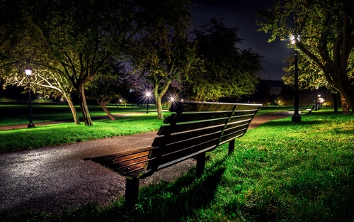 парк, скамейка, ночь, природа, зеленые, черные, коричневые